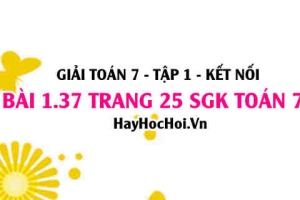 Giải bài 1.37 trang 25 Toán 7 Tập 1 SGK Kết nối tri thức